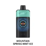 IGET ONE 12000 - Mountain Spring Mint Ice