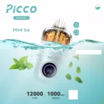 PICCO MAGIC 12000 - Mint Ice
