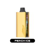 JNR CRUISER 12000 - Peach Ice
