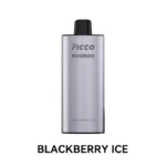 PICOO ROOROO 12000 - Blackberry Ice