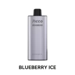 PICOO ROOROO 12000 - Blueberry Ice